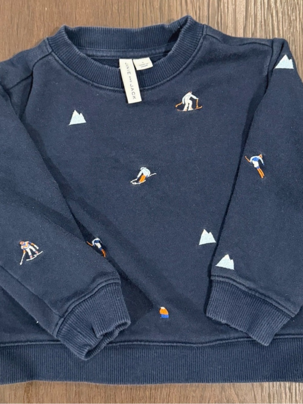 Janie and Jack Navy Crewneck Sweater with Ski Embroidery